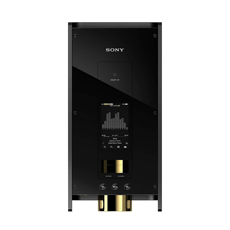 [Sony] Sony DMP-Z1 Headphones