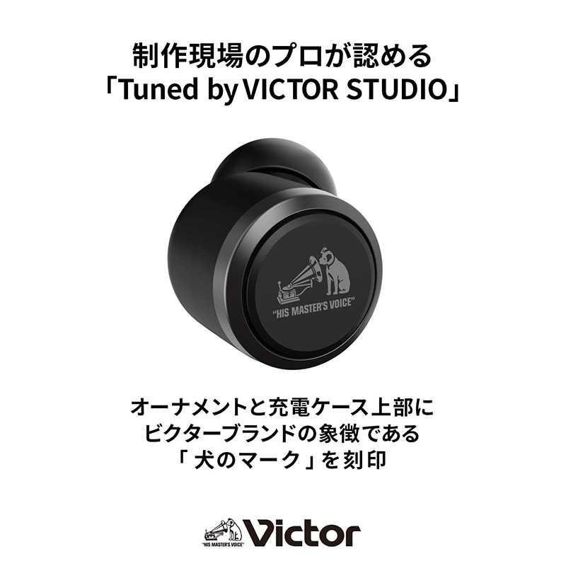 [JVC] JVC HA-FX100T Headphones